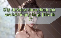 8 lý do 8xbet được đánh giá cao bộ tứ quý là gì tức thì