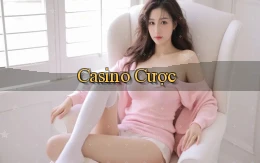 Casino Cược