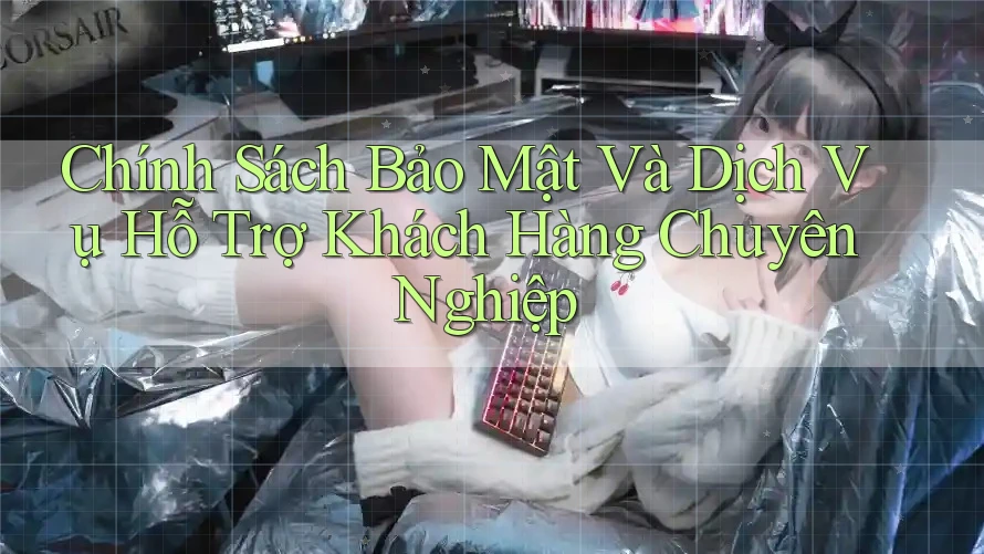 Chính Sách Bảo Mật Và Dịch Vụ Hỗ Trợ Khách Hàng Chuyên Nghiệp Chính Sách Bảo Mật Và Dịch Vụ Hỗ Trợ Khách Hàng Chuyên Nghiệp